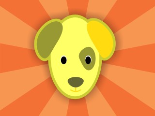 181熊猫体育APP V4.21.8 最新版下载地址及使用指南