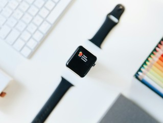 探索390手机版官网入口，V4.21.7的全新体验