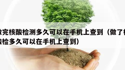 做完核酸检测多久可以在手机上查到（做了核酸检多久可以在手机上查到）