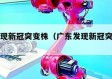 广东发现新冠突变株（广东发现新冠突变株在哪里）
